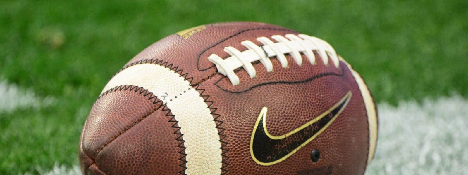 About Sports Enthusiasts Sports Enthusiasts